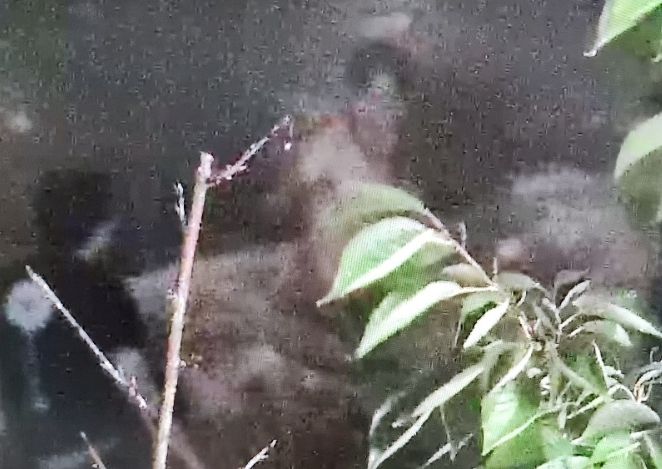 소양천 심야 물놀이 학생 구조