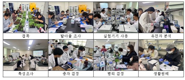 실습교육 운영 사례