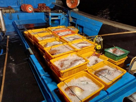 제주도, 추자도 해역 불법 ‘뻥치기’어선 적발