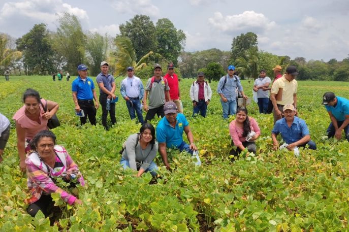 니카라과 INTAJM 신품종 설명회