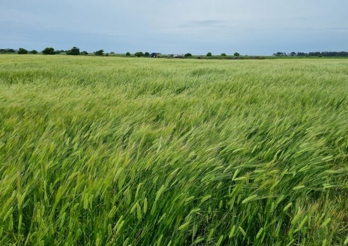 밭작물 토양생태환경보전사업