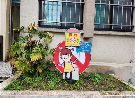 제주도, 꿈 Tree(트리)가 만드는 도심 안 손바닥 정원