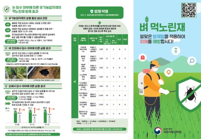 먹노린재 예찰·방제 리플릿