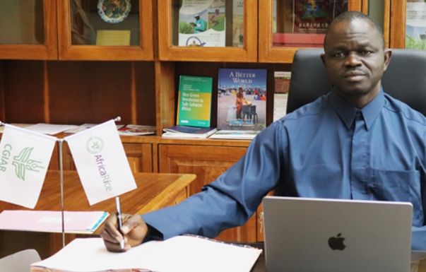 아프리카벼연구소 협약 서명