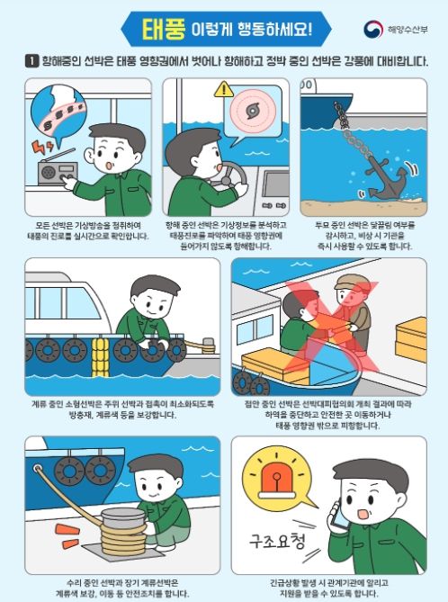 해양수산분야 태풍행동요령