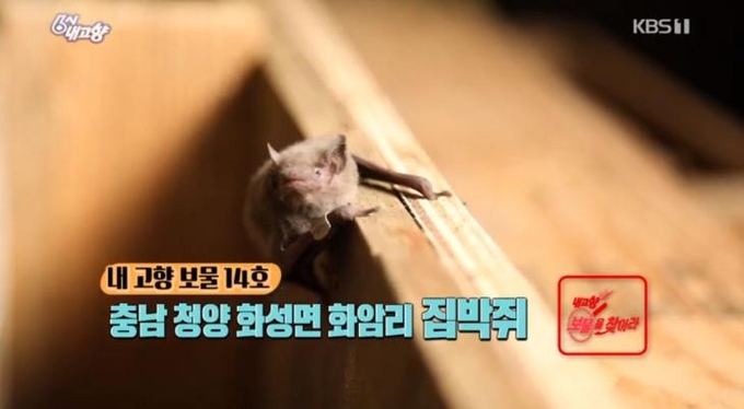 6시내고향