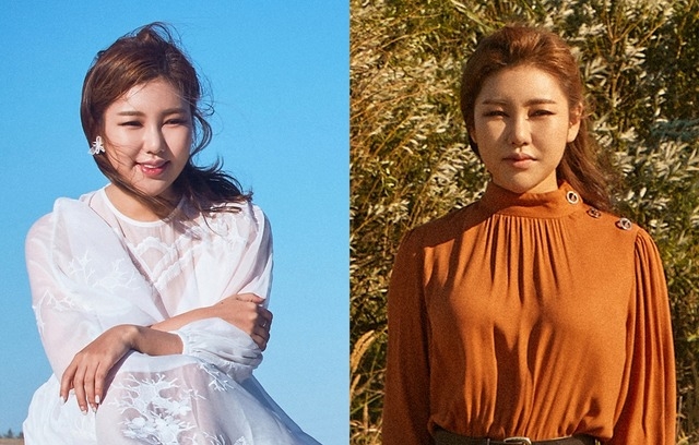 포켓돌스튜디오 제공